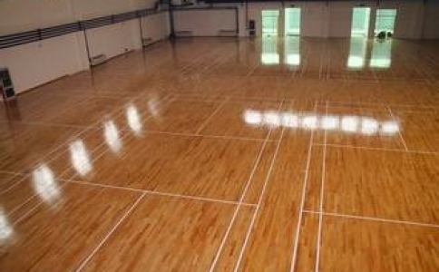 木質(zhì)紋硅PU